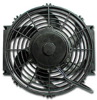 fan